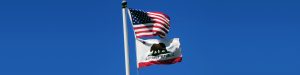 Californians to Vote to Save Flavored Tobacco Products
