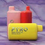 Pyro 6000 Disposables - 4