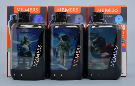MEMERS V40000 Disposables Review Cover Image